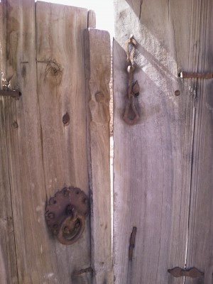 20120306_133130.jpg