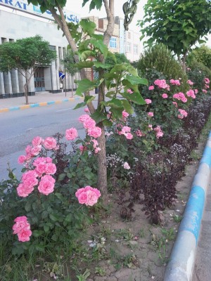 20120517_055835.jpg